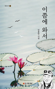 이쯤에 와서(국보시선 338)