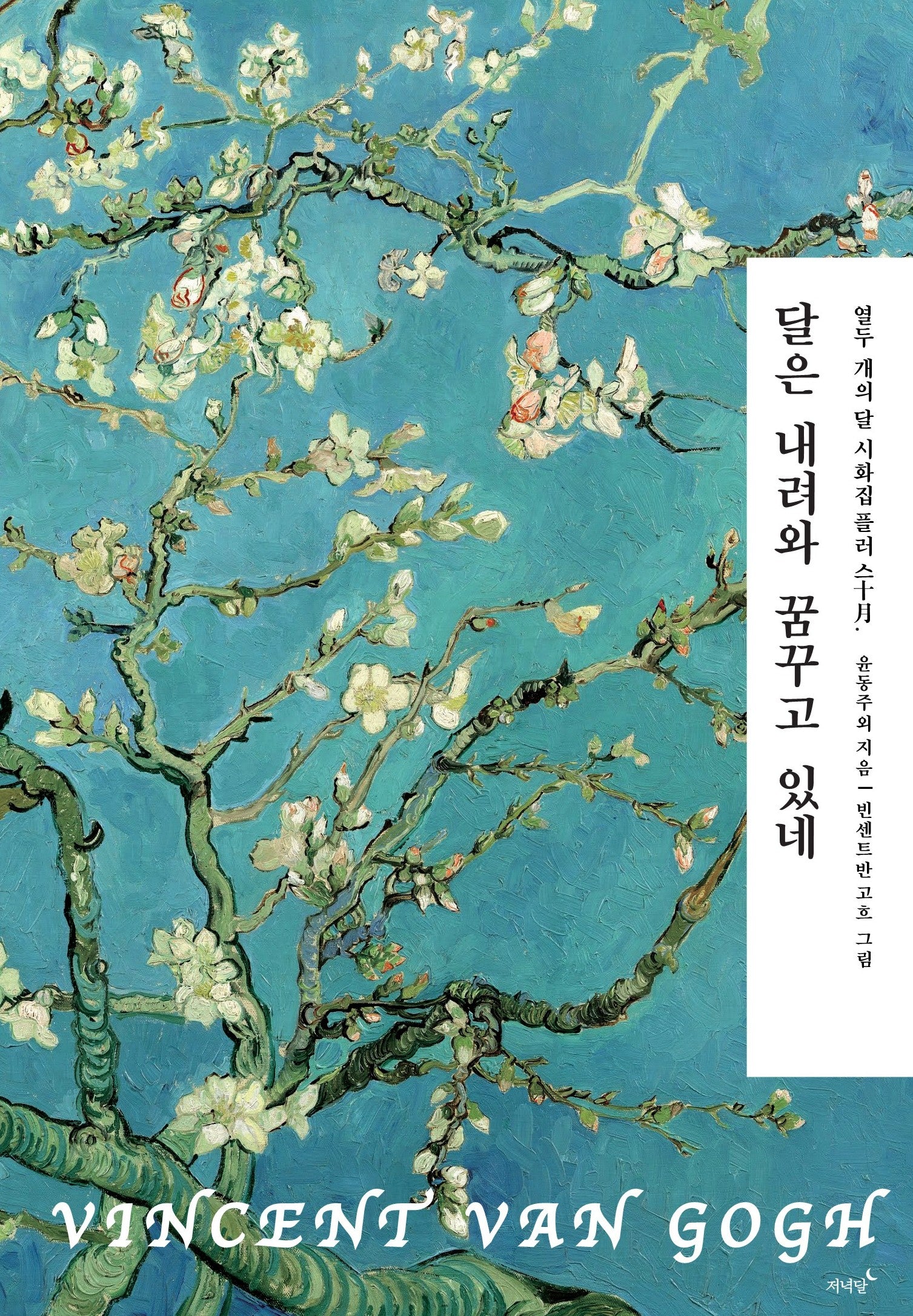 달은 내려와 꿈꾸고 있네(열두 개의 달 시화집 플러스 10월)