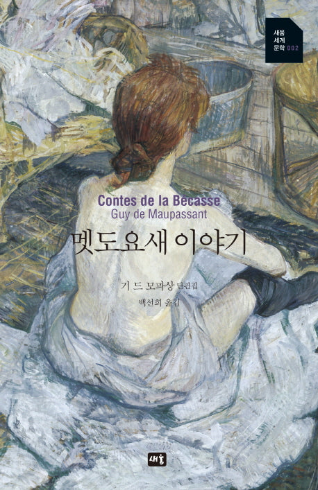 멧도요새 이야기(새움 세계문학 2)