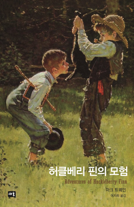 허클베리 핀의 모험(새움 세계문학)