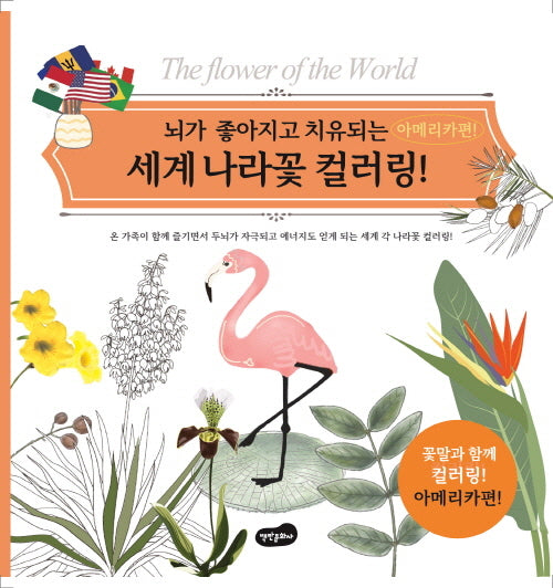 세계 나라꽃 컬러링: 아메리카편(뇌가 좋아지고 치유되는)