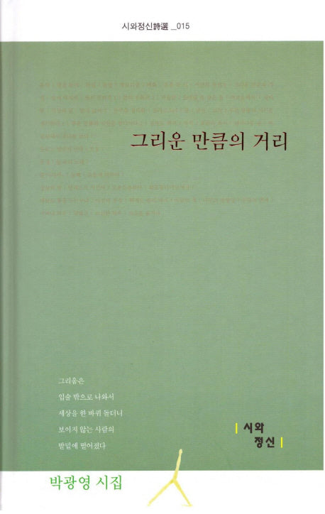 그리운 만큼의 거리(시와정신시선 15)