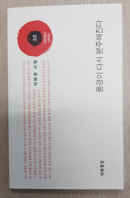 풍경이 다시 분주해진다(시와정신 시인선 30)