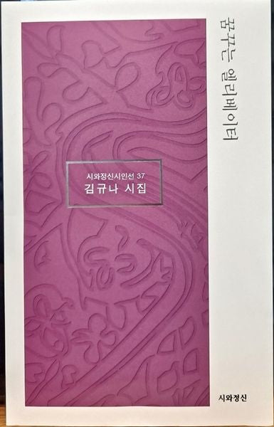 꿈꾸는 엘리베이터(시와정신시인선 37)