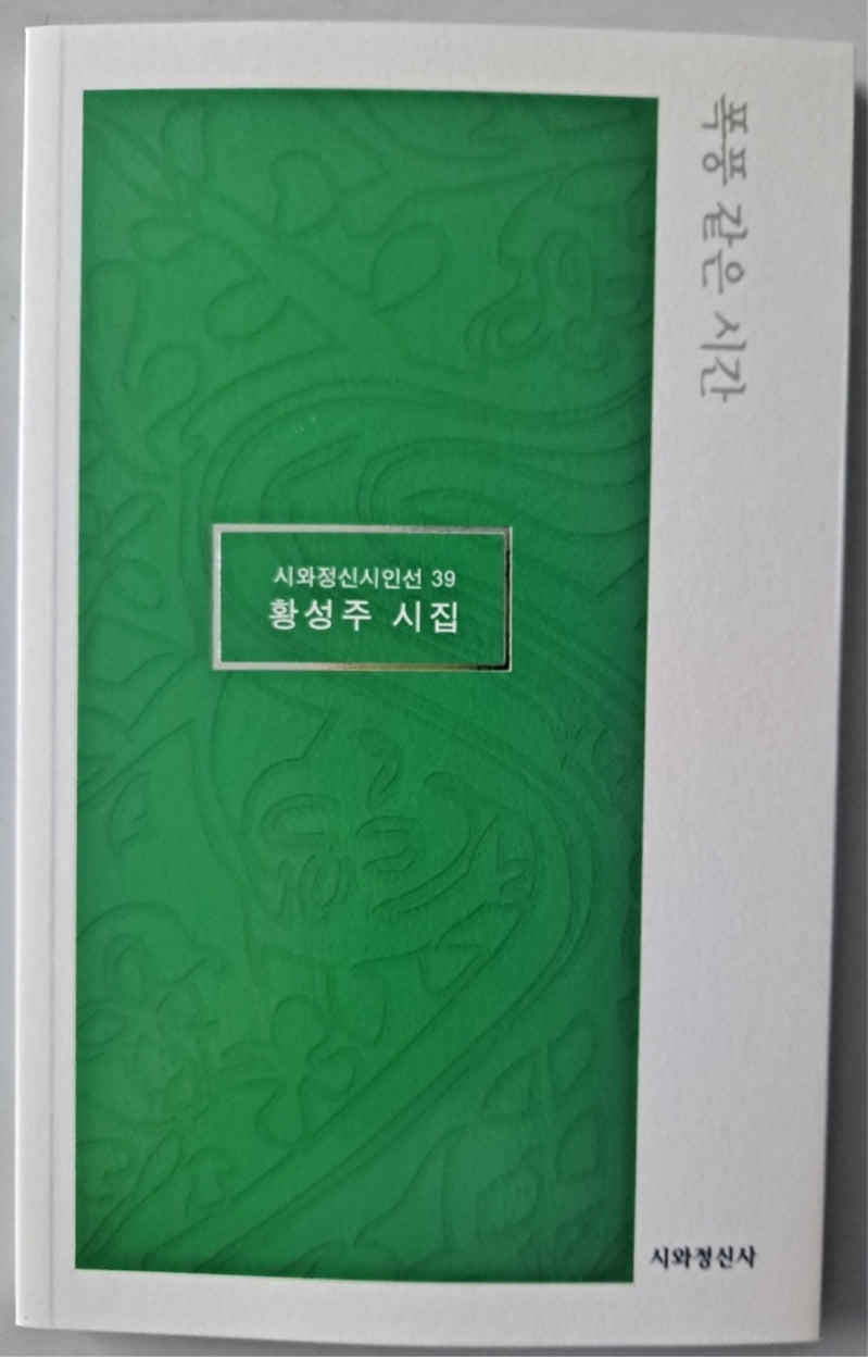 폭풍 같은 시간(시와정신시인선 39)