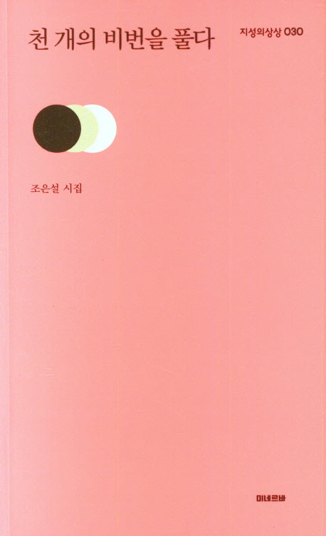 천 개의 비번을 풀다(지성의 상상 30)