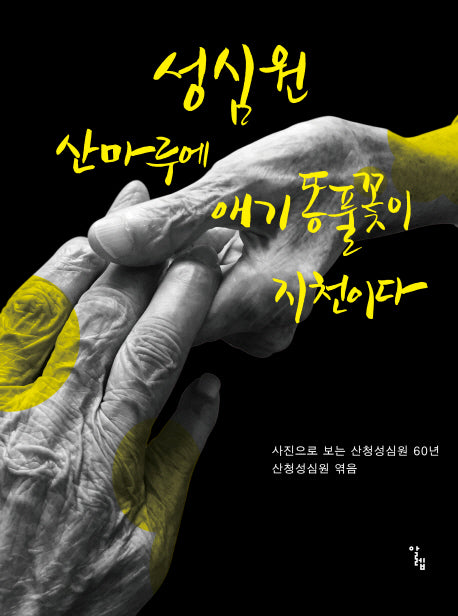 성심원 산마루에 애기똥풀꽃이 지천이다
