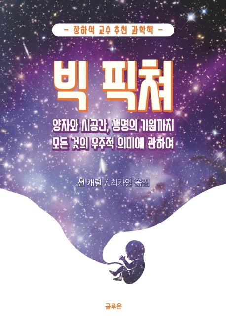 빅 픽쳐