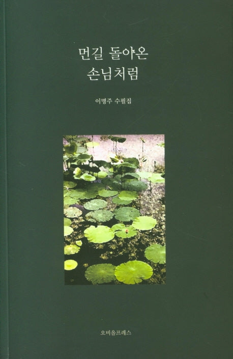 먼길 돌아온 손님처럼
