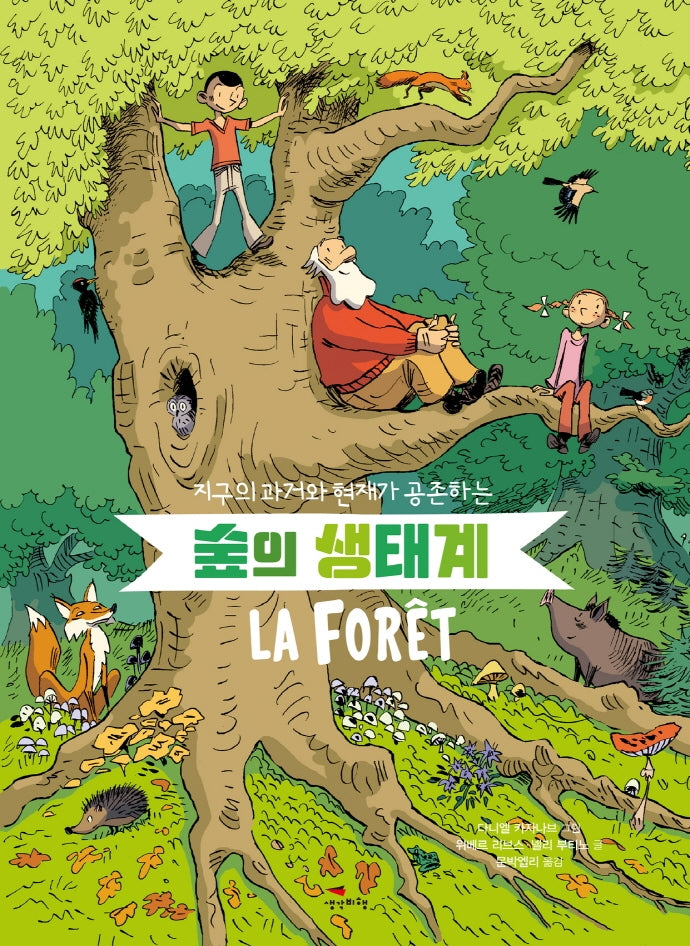 숲의 생태계(지구의 과거와 현재가 공존하는)