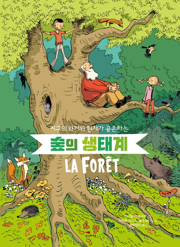숲의 생태계(지구의 과거와 현재가 공존하는)