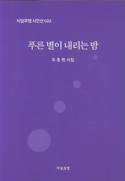 푸른 별이 내리는 밤(시담포엠 시인선 22)
