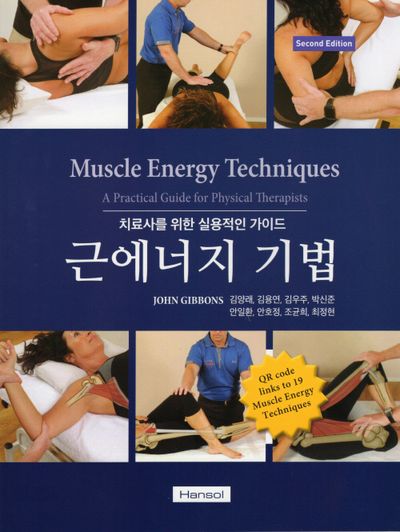근에너지 기법: 치료사를 위한 실용적인 가이드