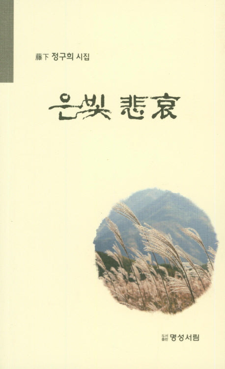 은빛비애