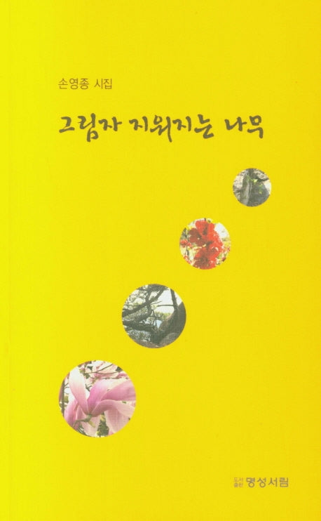 그림자 지워지는 나무