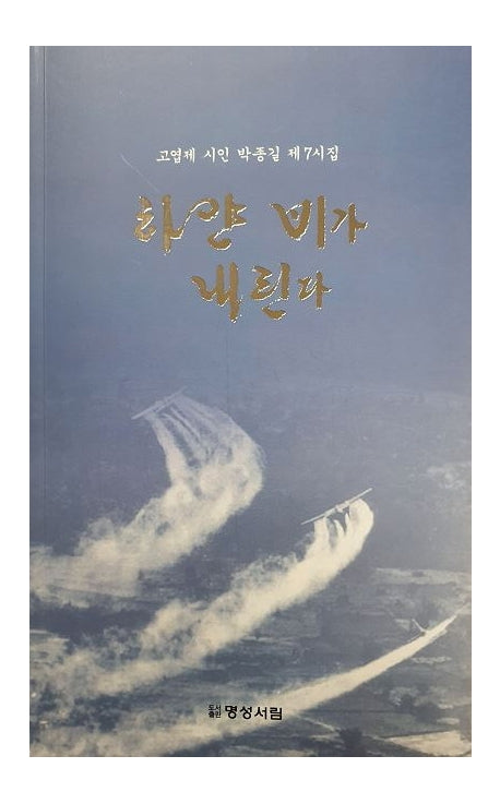 하얀 비가 내린다