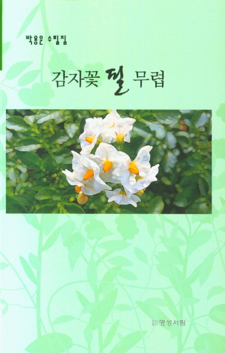 감자꽃 필 무렵