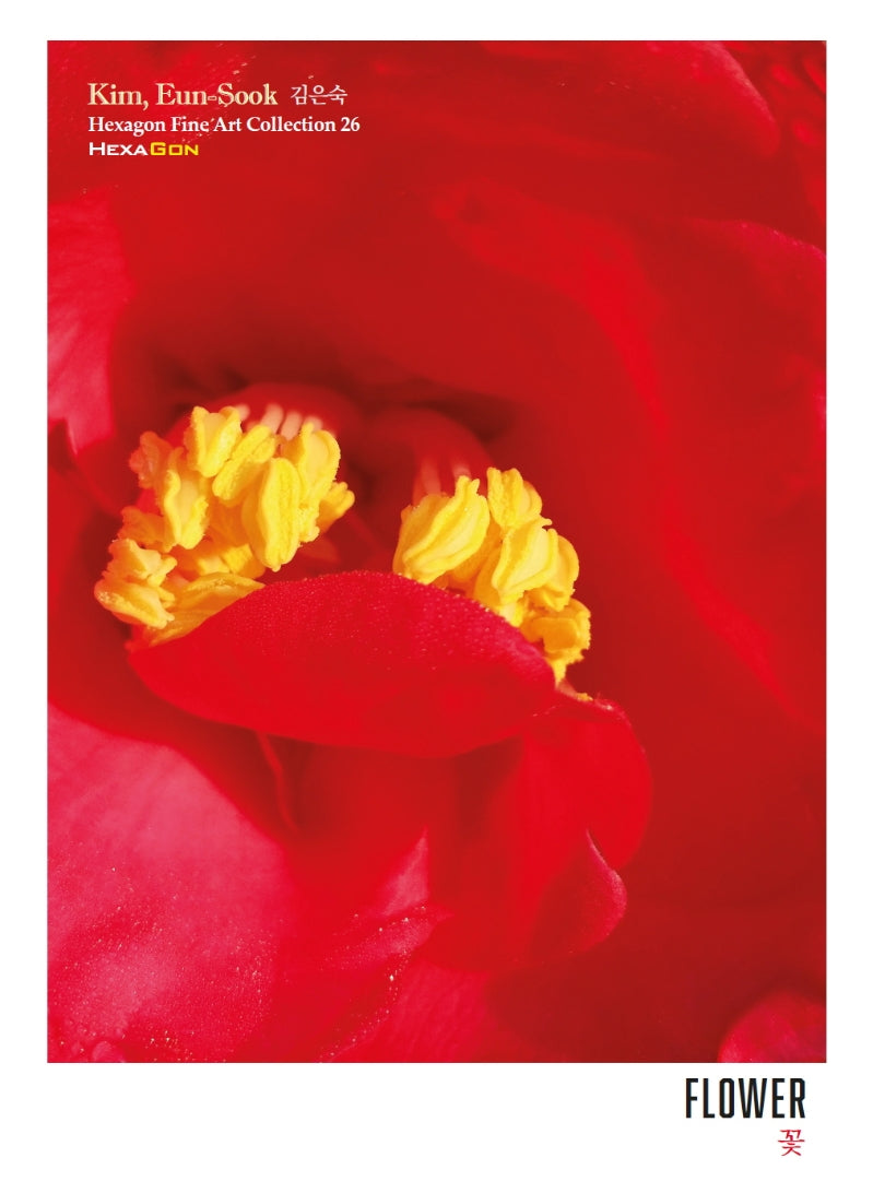 꽃(Flower)(헥사곤 파인아트컬렉션 26)