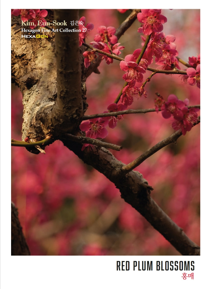 홍매 RED PLUM BLOSSOMS