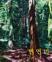 변연미(한국현대미술선 49)