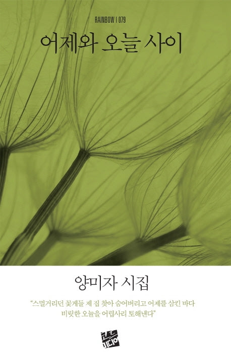 어제와 오늘 사이(Rainbow 79)