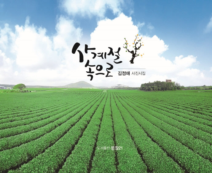사계절 속으로