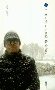 우리가 서귀포로 온 까닭은(경남 대표 시인선 33)