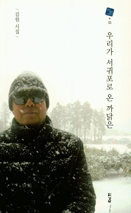 우리가 서귀포로 온 까닭은(경남 대표 시인선 33)