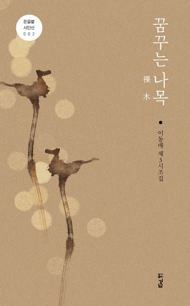 꿈꾸는 나목(돋을볕 시인선 2)