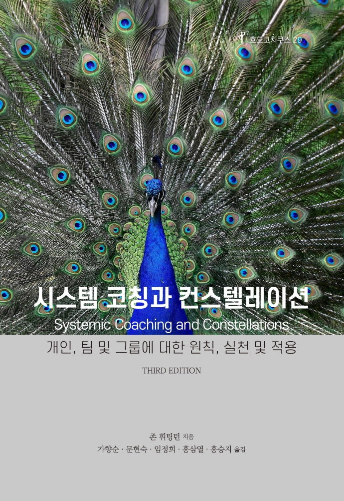 시스템 코칭과 컨스텔레이션(호모코치쿠스 29)