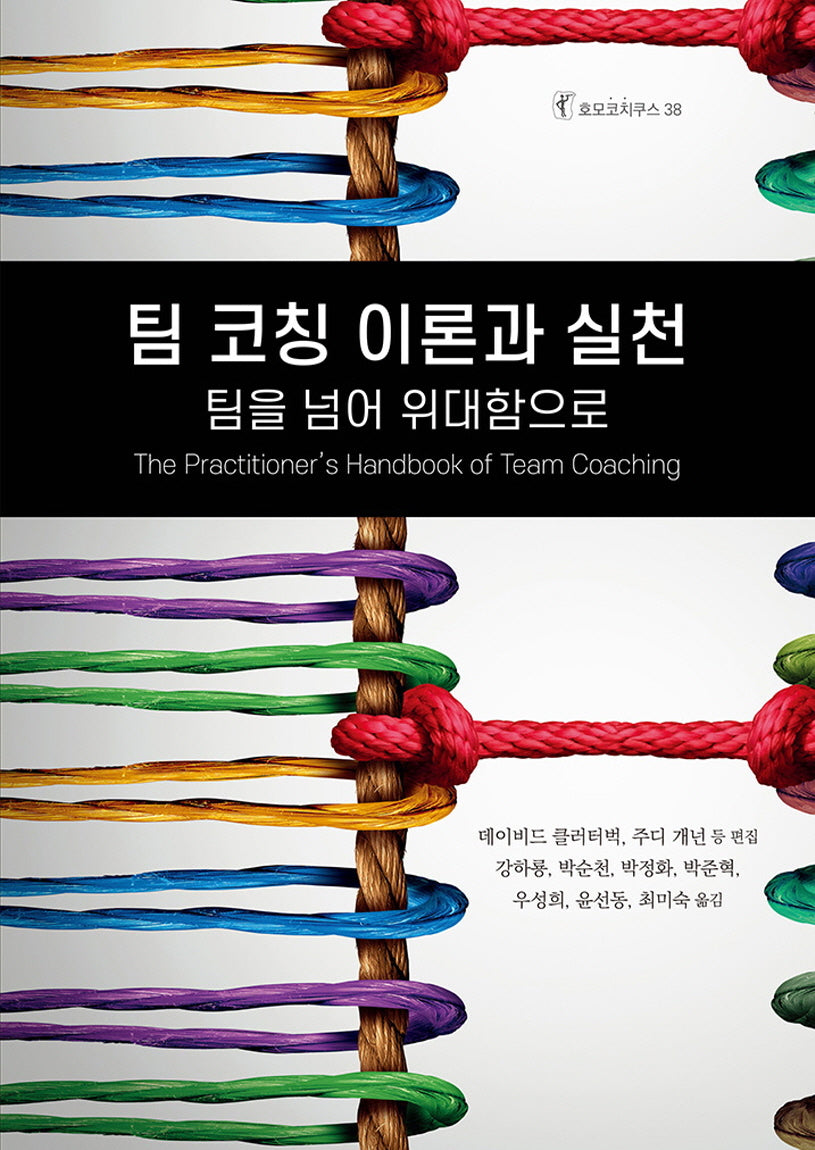 팀 코칭 이론과 실천: 팀을 넘어 위대함으로(호모코치쿠스 38)