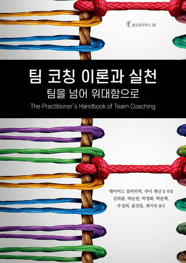팀 코칭 이론과 실천: 팀을 넘어 위대함으로(호모코치쿠스 38)