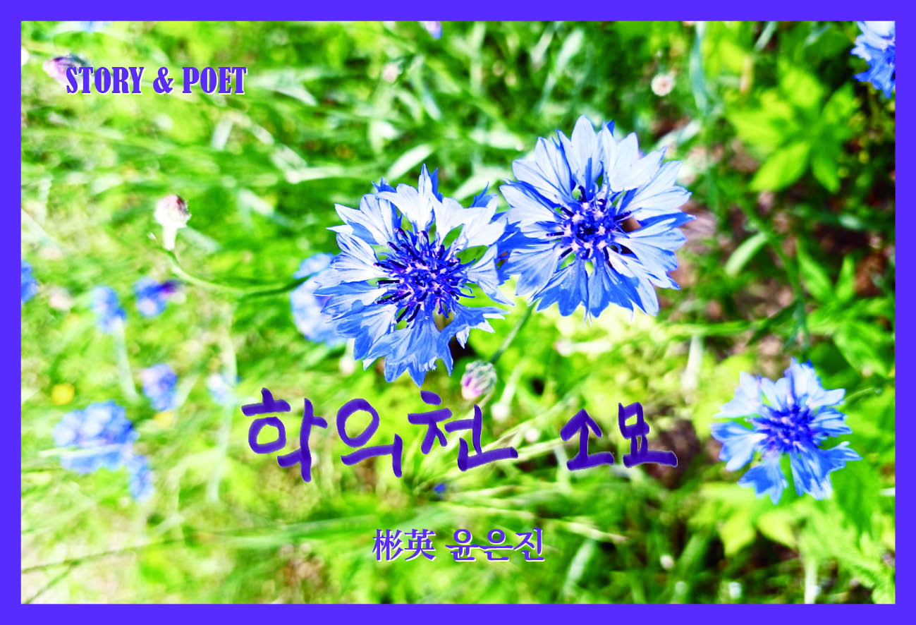 학의천 소묘