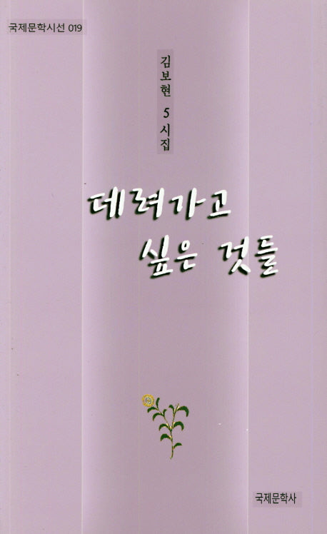 데려가고 싶은 것들(국제문학시선 19)