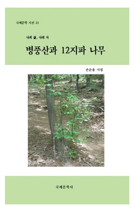 병풍산과 12지파 나무(국제문학시선 25)