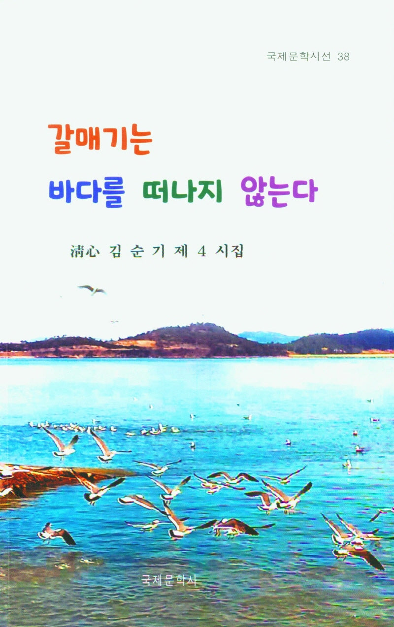 갈매기는 바다를 떠나지 않는다(국제문학 시선 38)