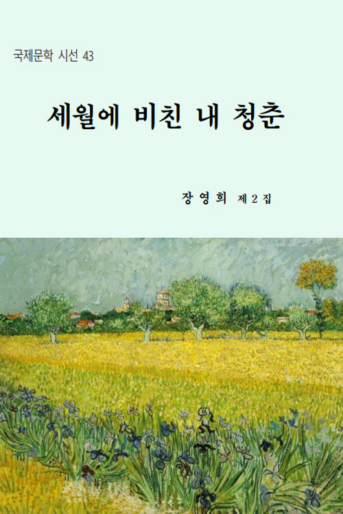 세월에 비친 내 청춘(국제문학 시선 43)