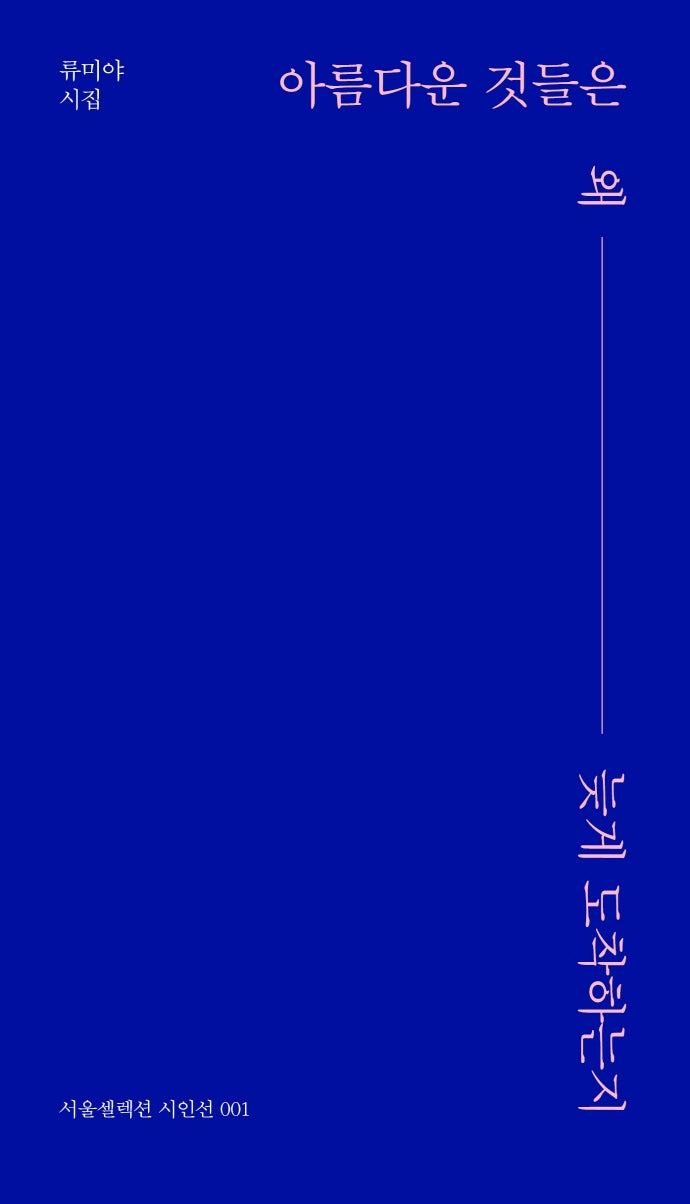 아름다운 것들은 왜 늦게 도착하는지(서울셀렉션 시인선 1)