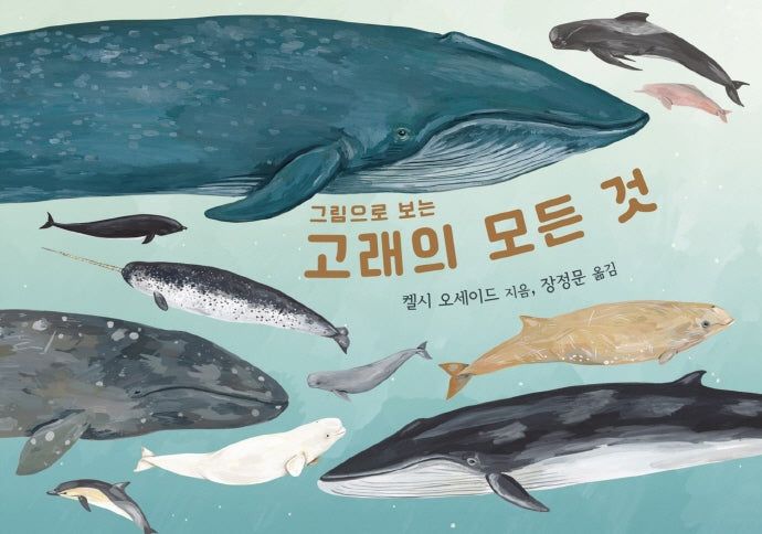 고래의 모든 것(그림으로 보는)(양장본 Hardcover)