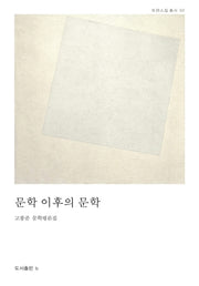 문학 이후의 문학(트랜스필 총서 2)(양장본 HardCover)