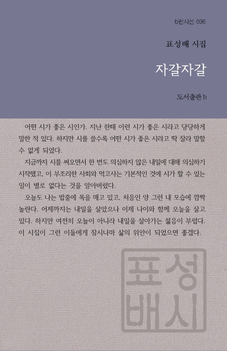 자갈자갈(b판시선 36)