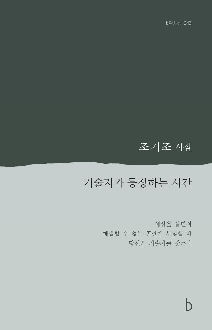 기술자가 등장하는 시간(b판시선 42)