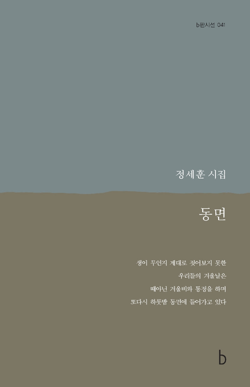 동면(b판시선 41)