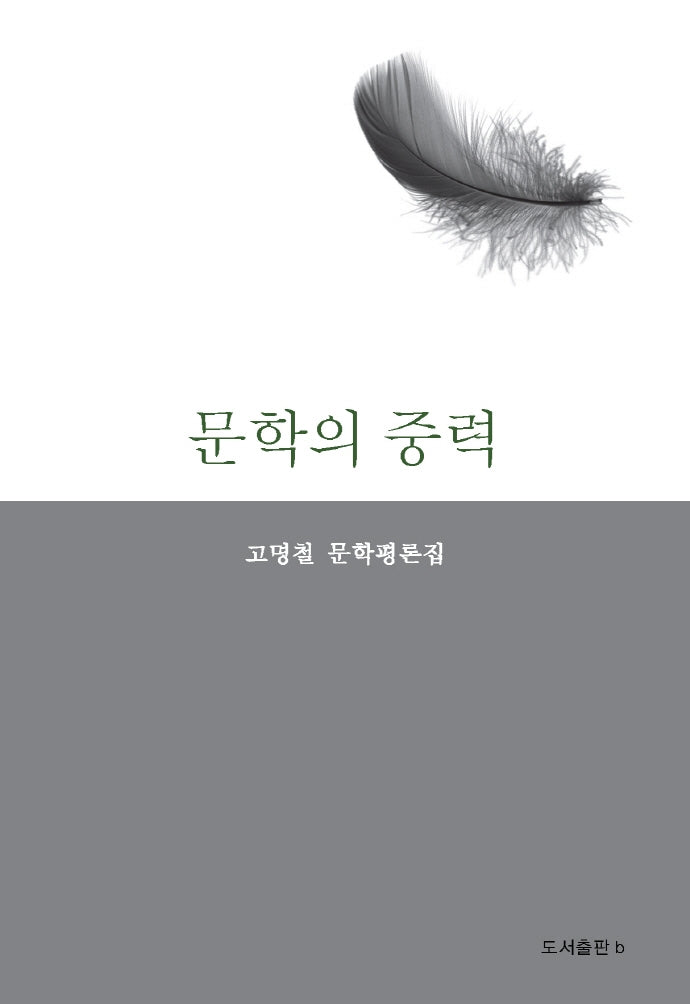 문학의 중력(반양장)