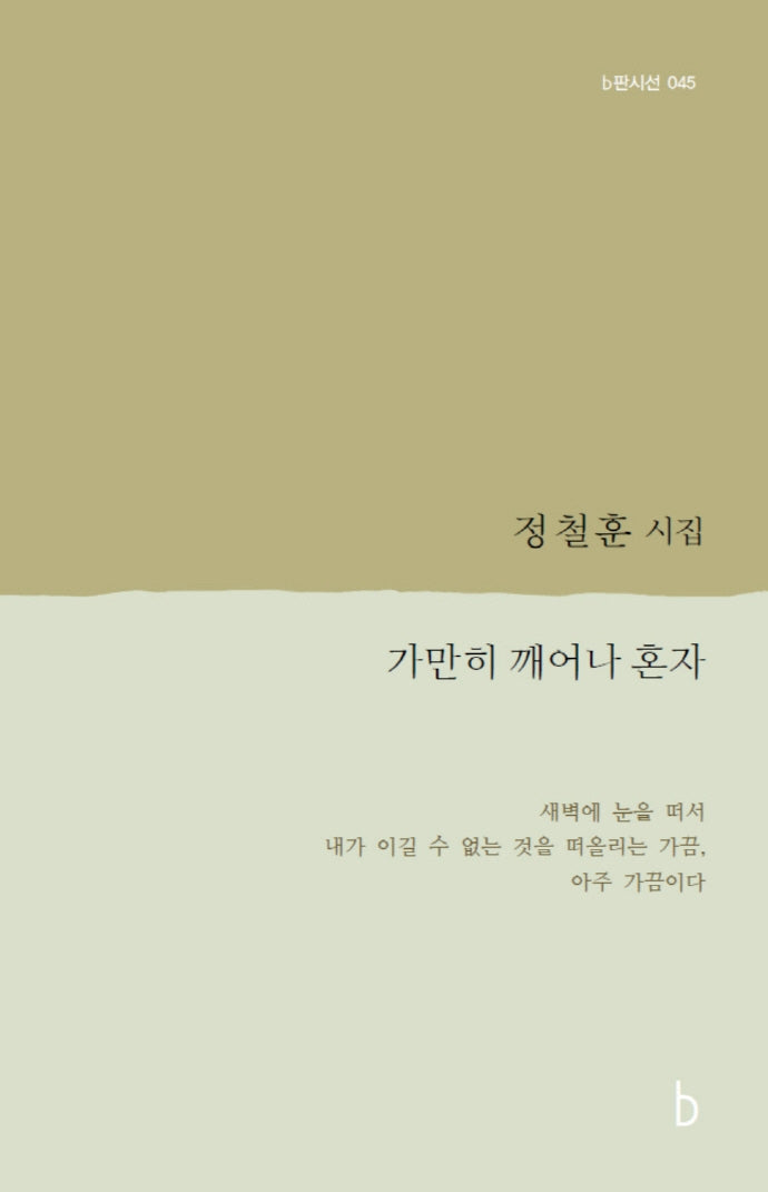 가만히 깨어나 혼자(b판시선 45)
