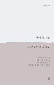 그 모퉁이 자작나무(b판시선 48)