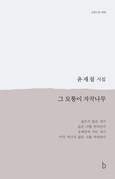그 모퉁이 자작나무(b판시선 48)