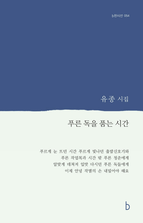 푸른 독을 품는 시간(b판시선 54)