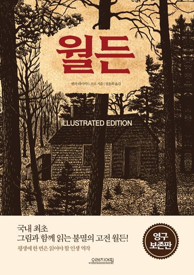 월든(일러스트 에디션)
