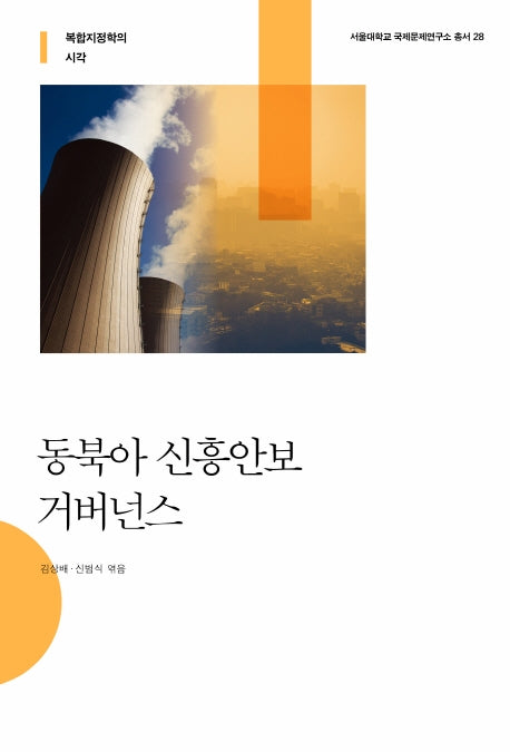 동북아 신흥안보 거버넌스(서울대학교 국제문제연구소 총서 28)